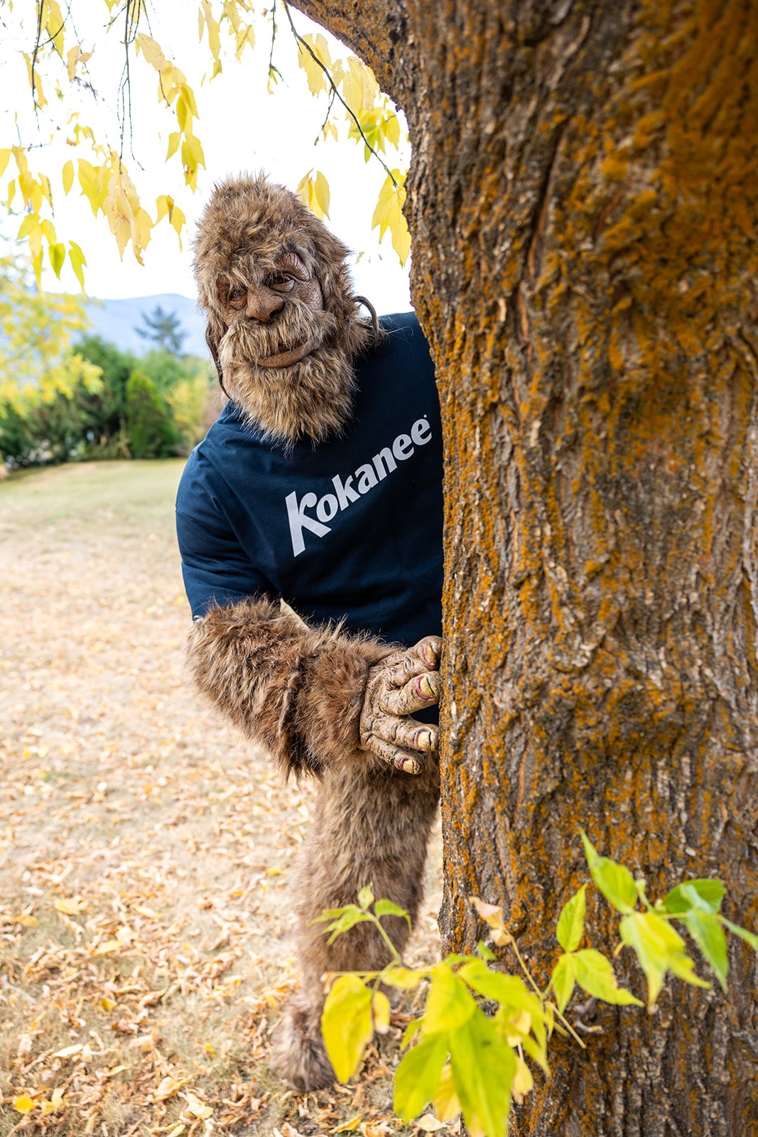 Men's Everyday Ring Spun Navy T-shirt- Kokanee